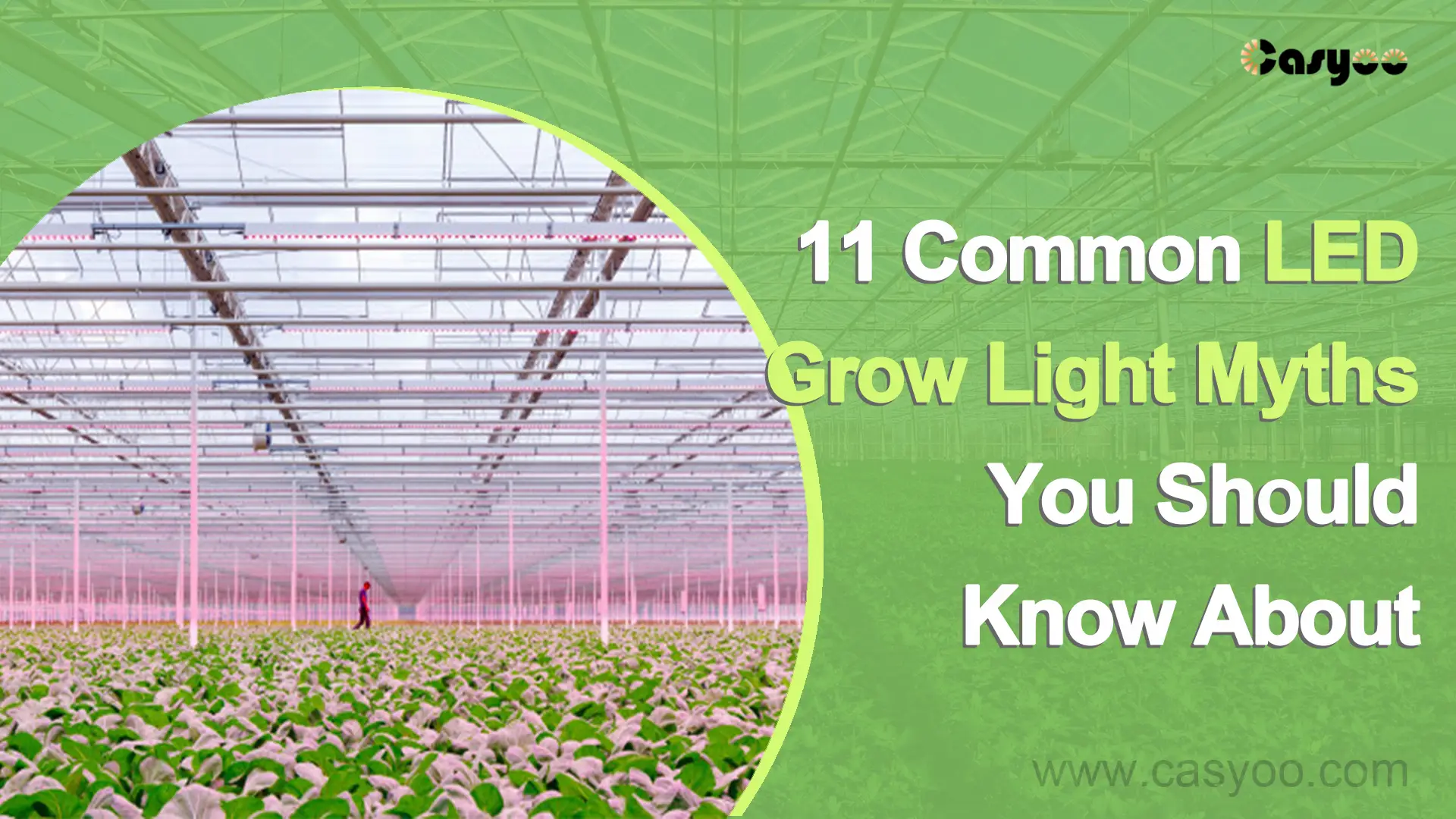 11 Common LED Grow Light Myths You Should Know About