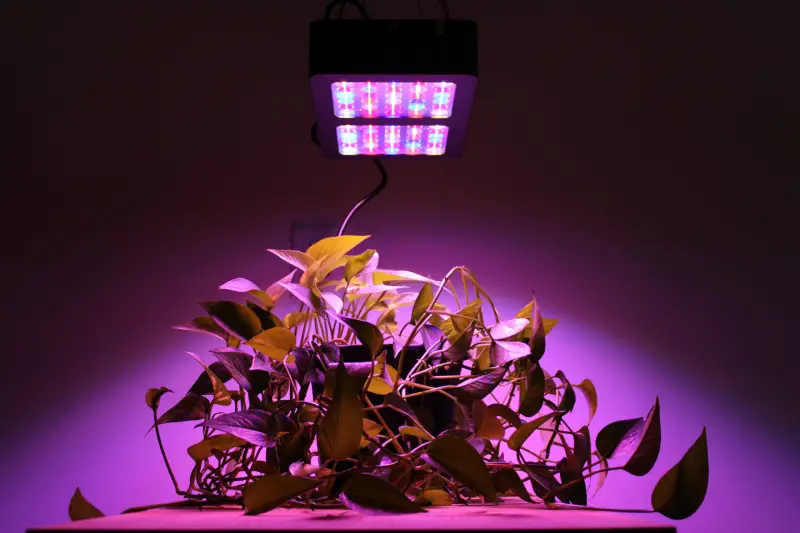 How to Calculate the Heat Production of LED Grow Lights