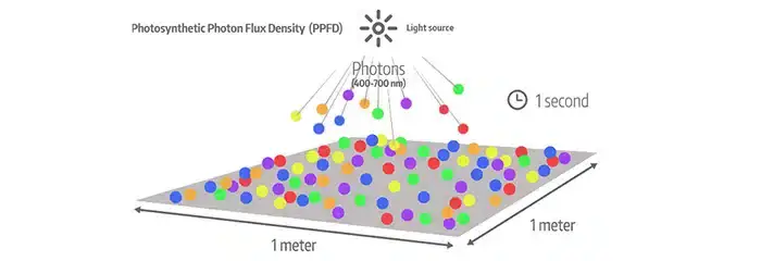 Light Intensity