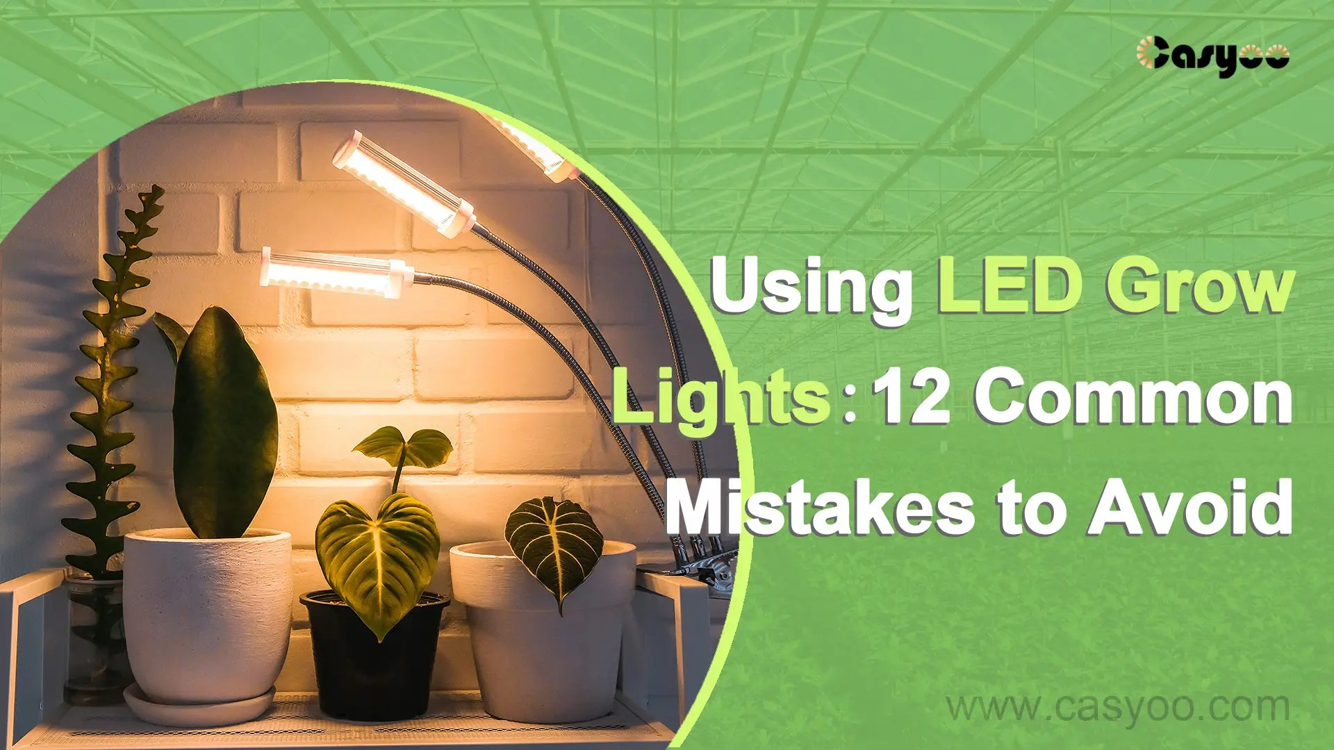 Using LED Grow Lights 12 Common Mistakes to Avoid