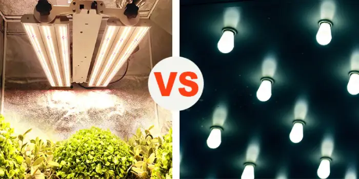 What Are the Main Differences Between LED Normal lights and LED grow lights