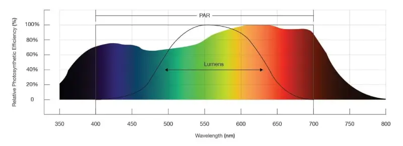 Lumens vs PAR