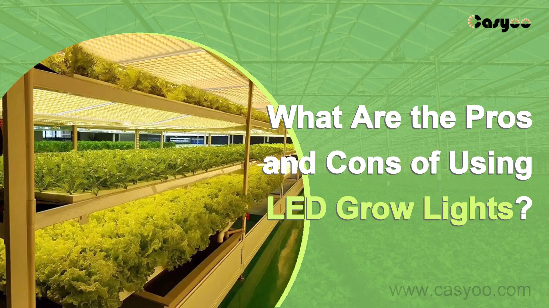 What Are the Pros and Cons of Using LED Grow Lights? - Casyoo