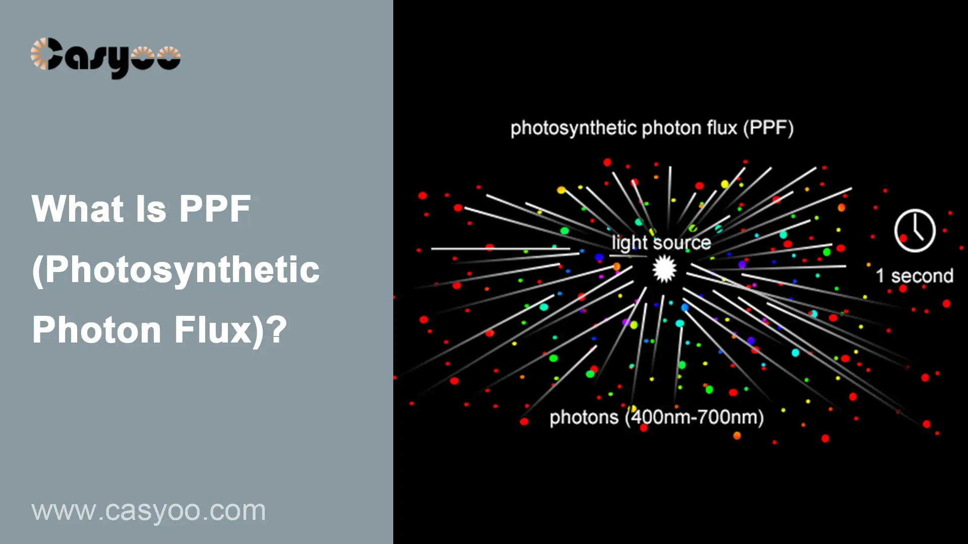 What Is PAR (Photosynthetic Active Radiation)