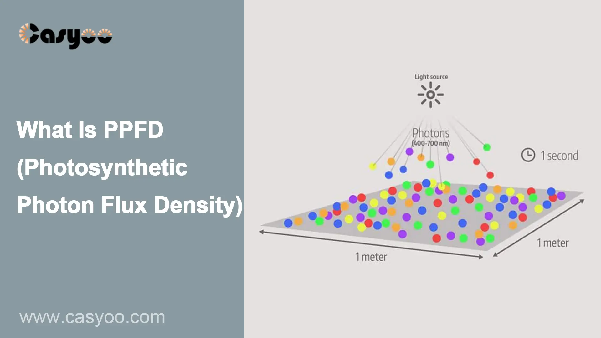 What Is PPFD (Photosynthetic Photon Flux Density)?