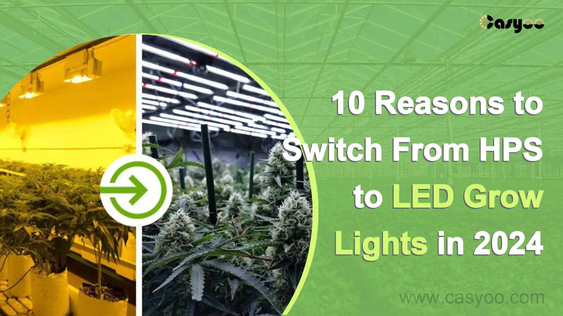 10 Reasons to Switch From HPS to LED Grow Lights 2024 - Casyoo