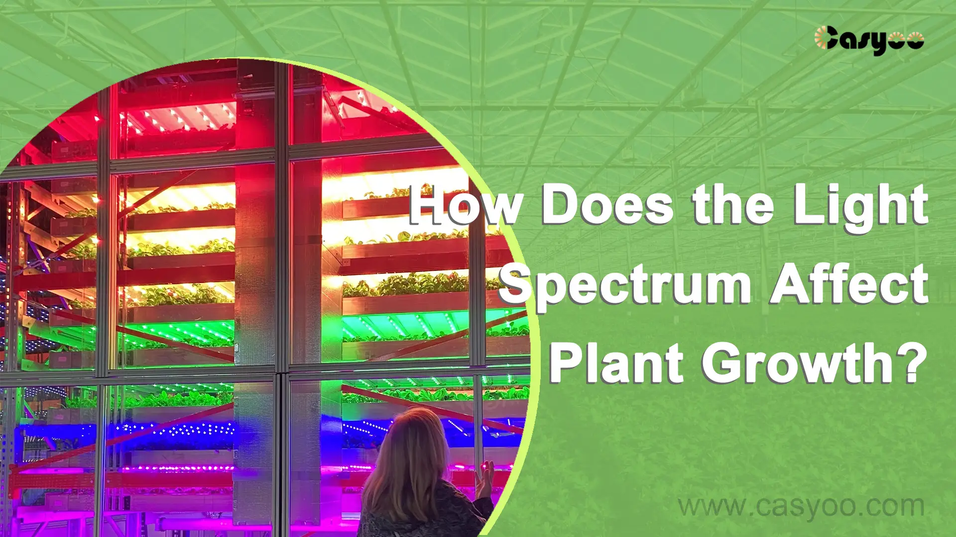 How Does the Light Spectrum Affect Plant Growth