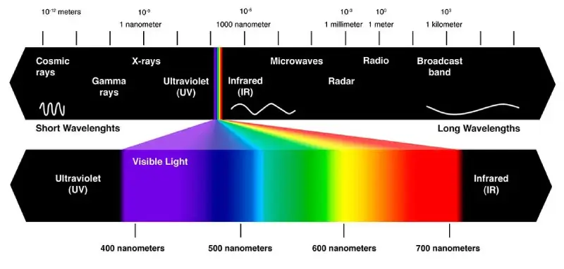 How Does the Light Spectrum Affect Plant Growth?