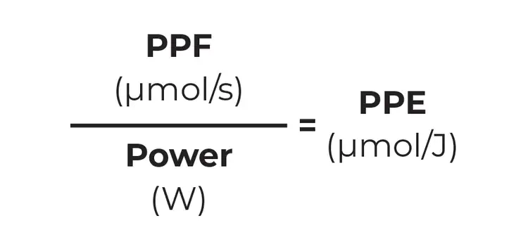 How to Measure PPE