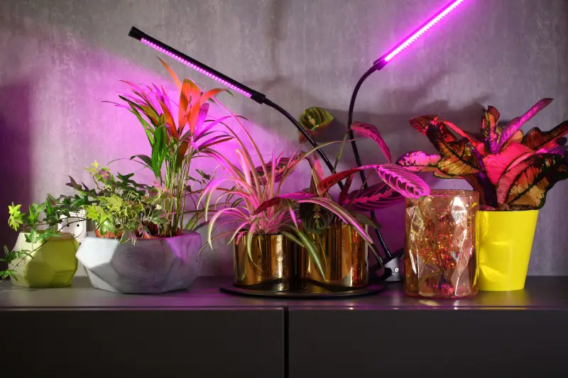 Traditional LED grow lights