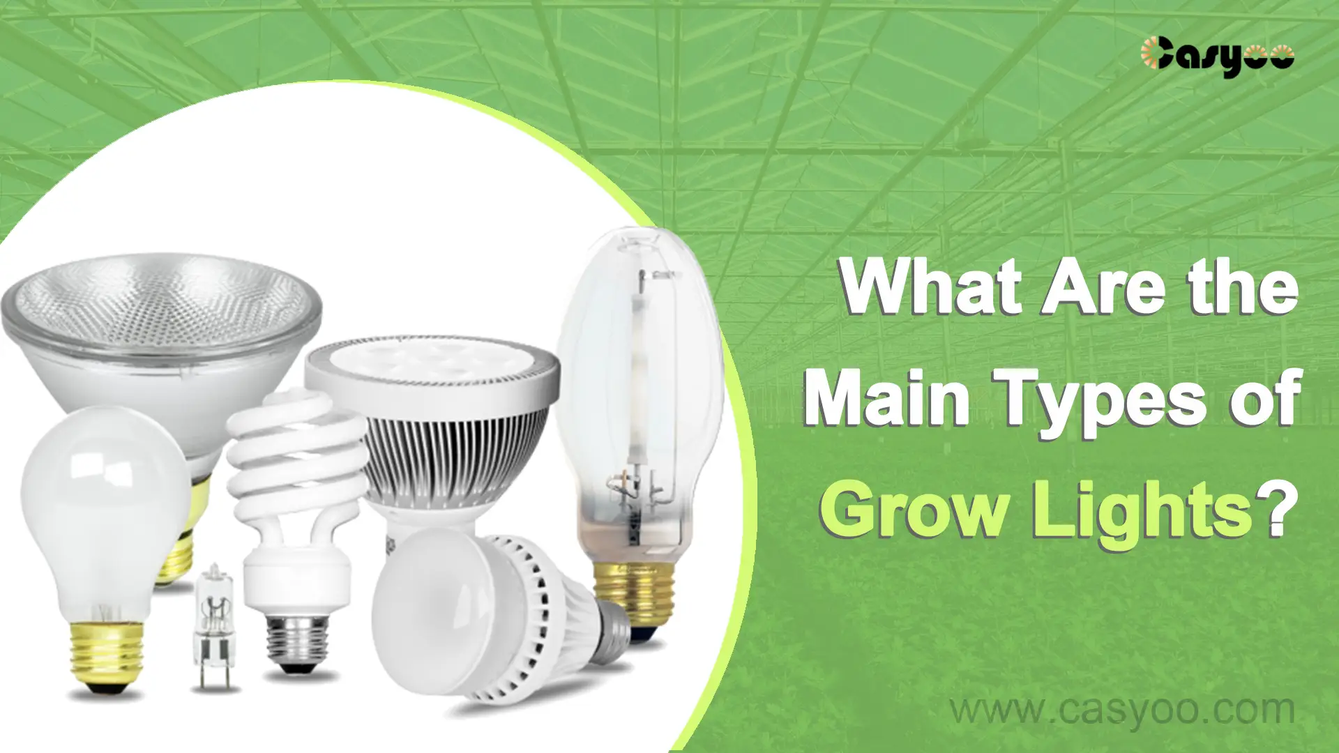 What Are the Main Types of Grow Lights?