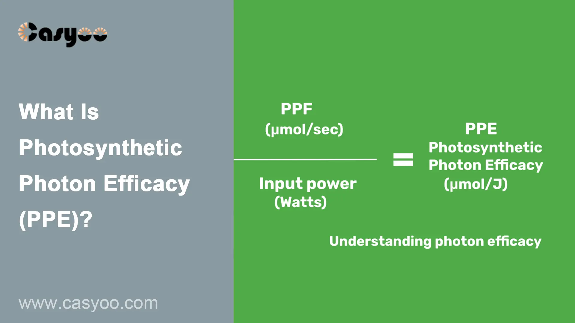 What Is Photosynthetic Photon Efficacy Ppe Casyoo