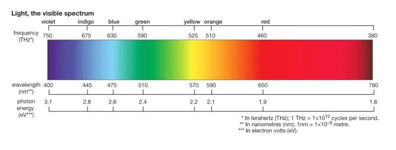 Yellow and Orange Light