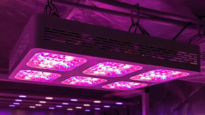 Advantages of LED grow lights