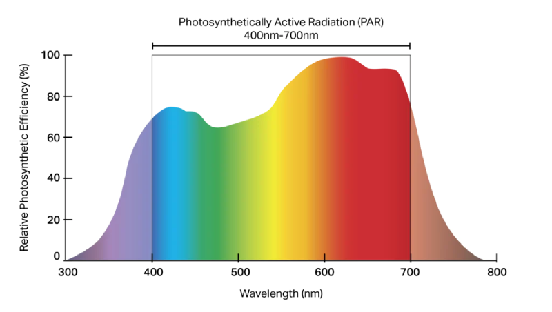 Check whether the spectrum is suitable.