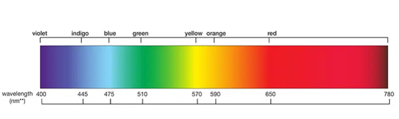 How do full spectrum LED grow lights affect plant growth