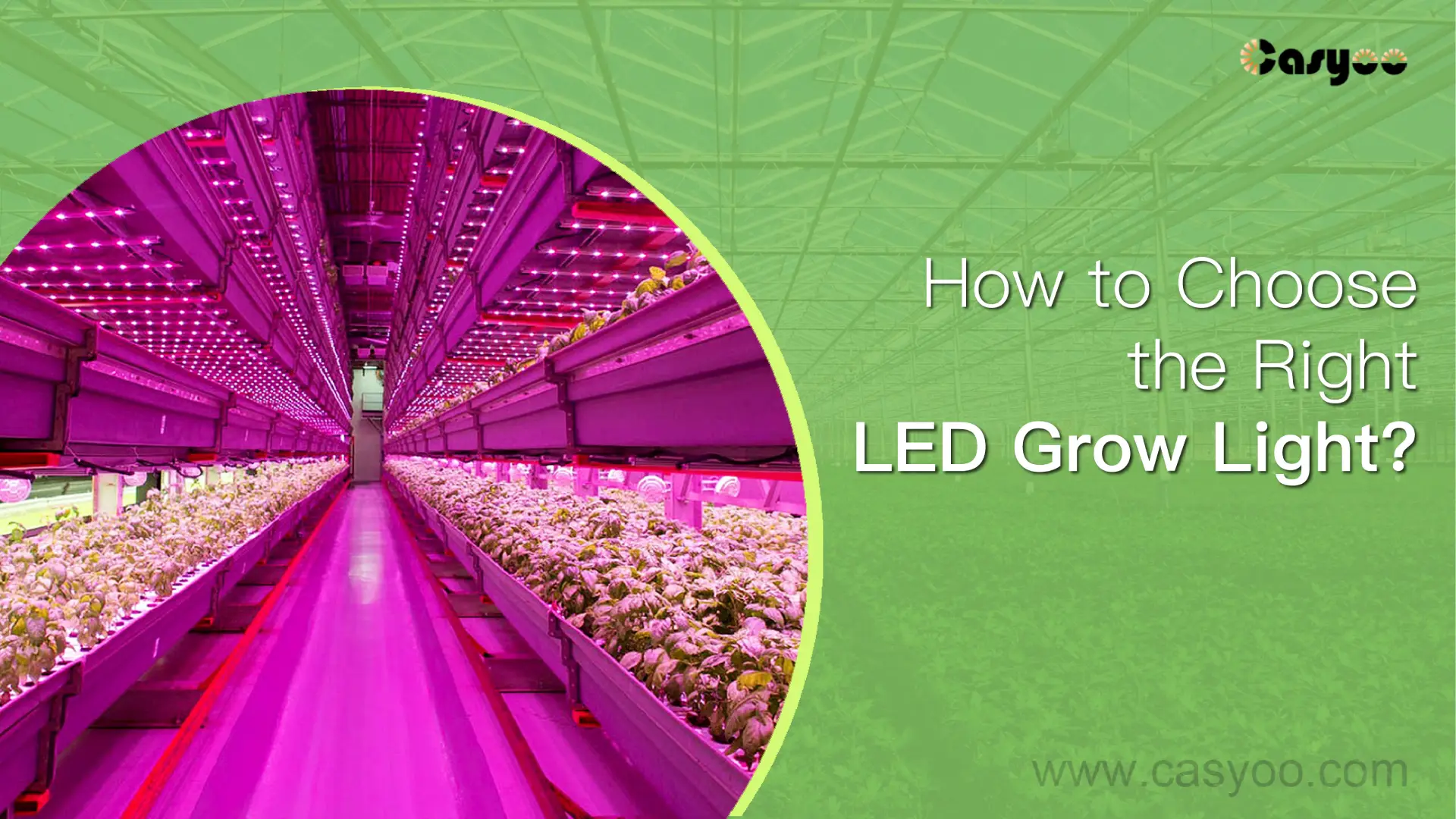 How to Choose the Right LED Grow Light? - Casyoo