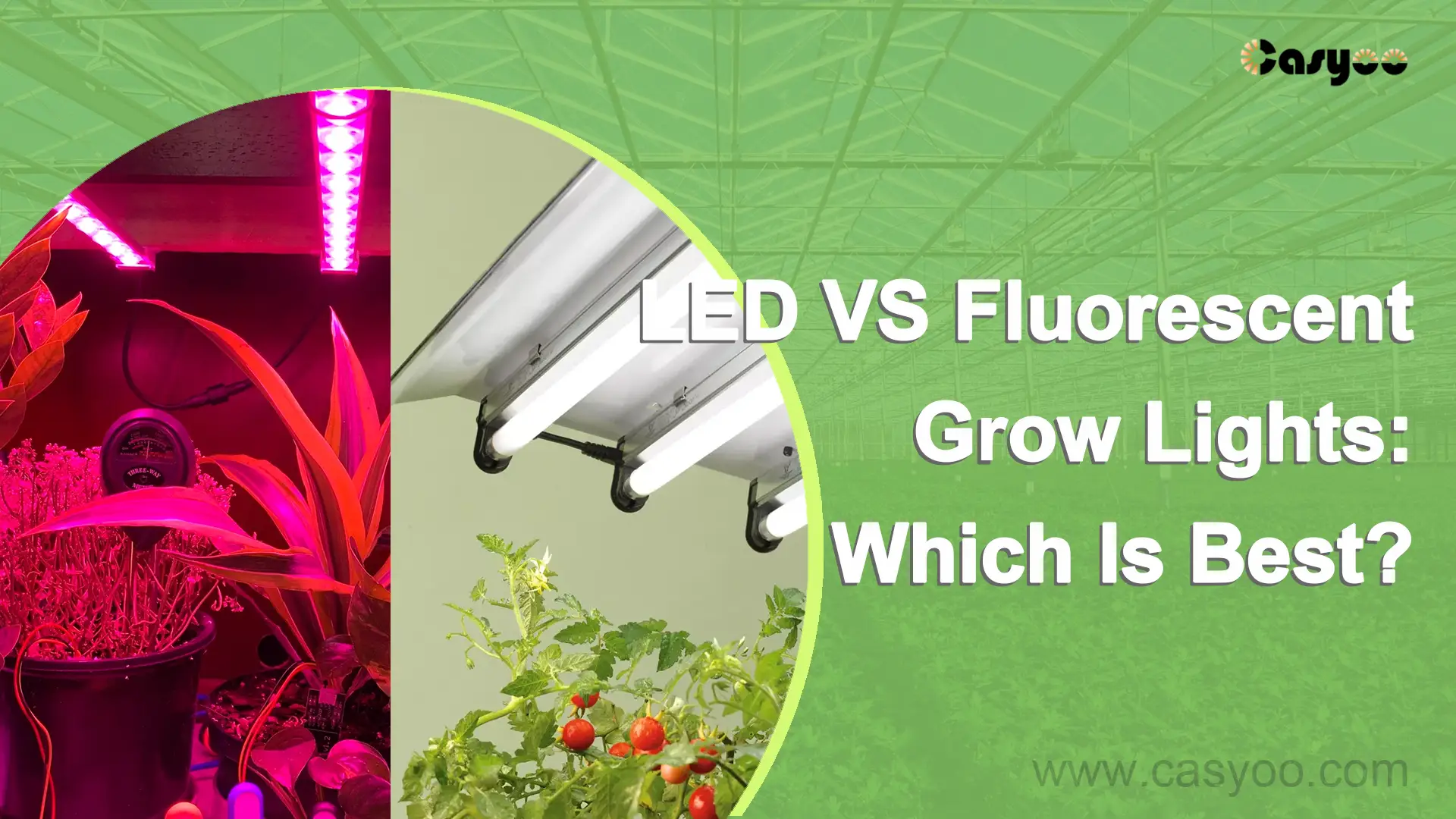 LED VS Fluorescent Grow Lights Which Is Best? Casyoo