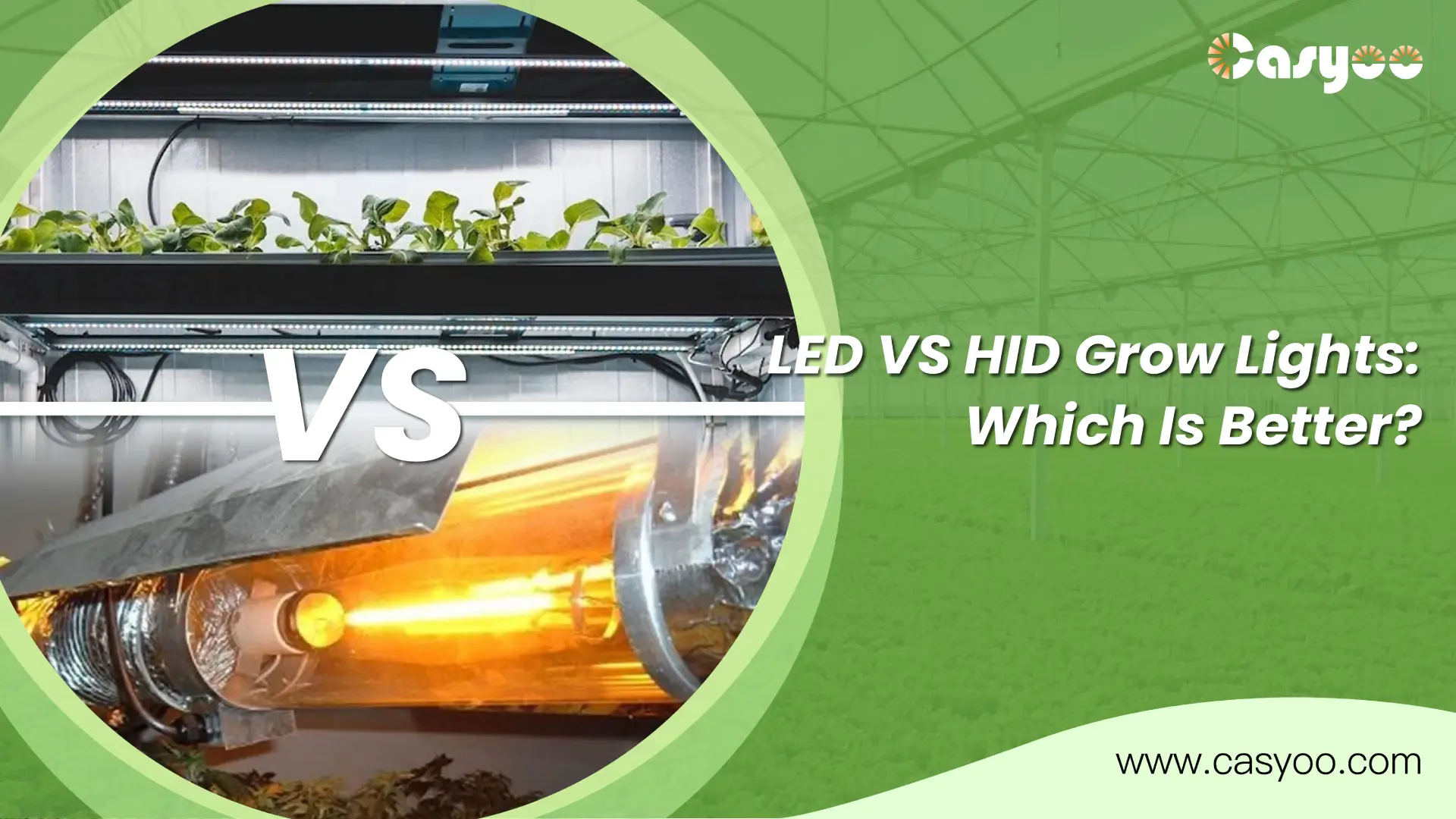 LED VS HID Grow Lights: Which Is Better? - Casyoo