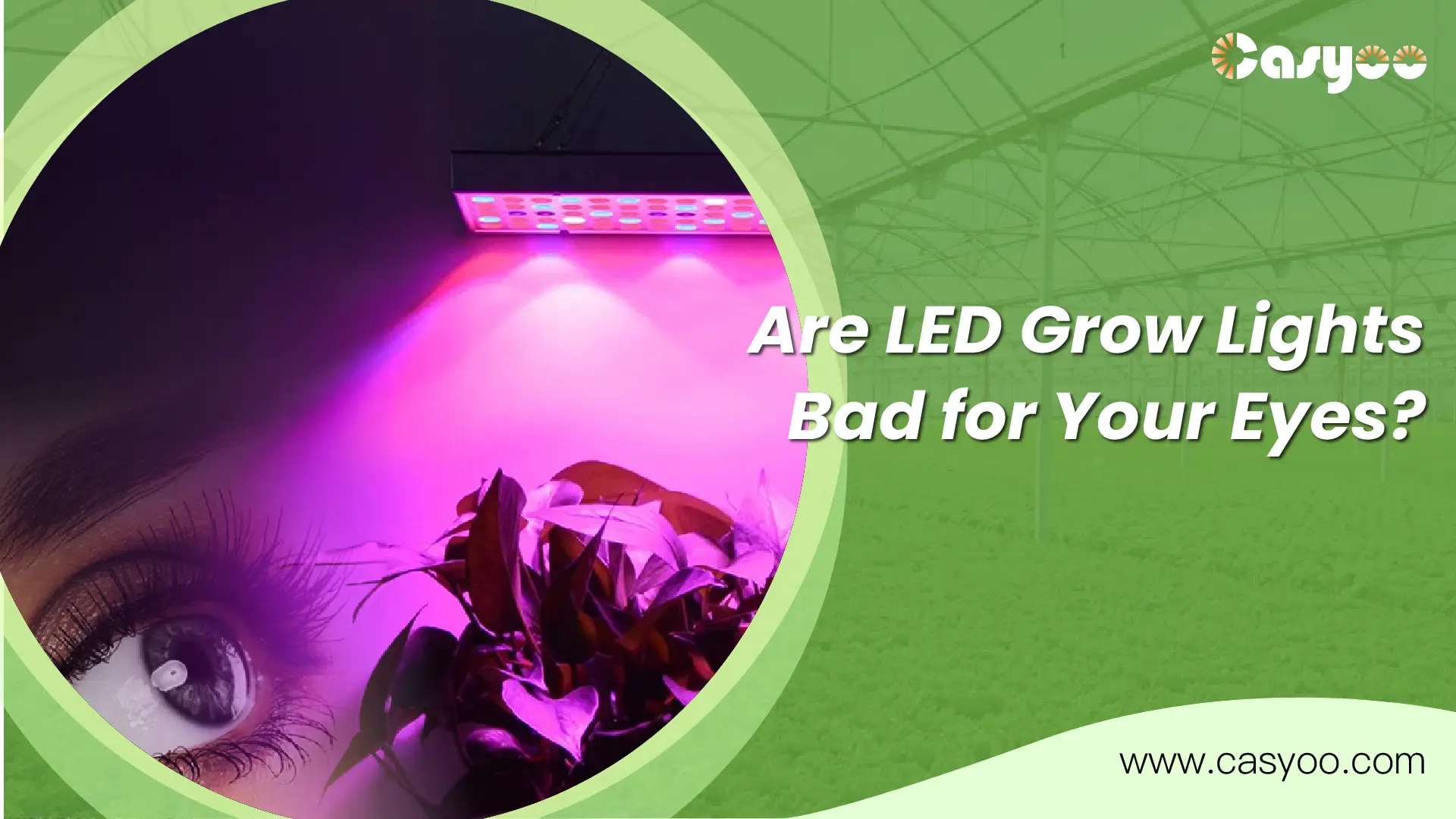 Are LED Grow Lights Bad for Your Eyes? - Casyoo