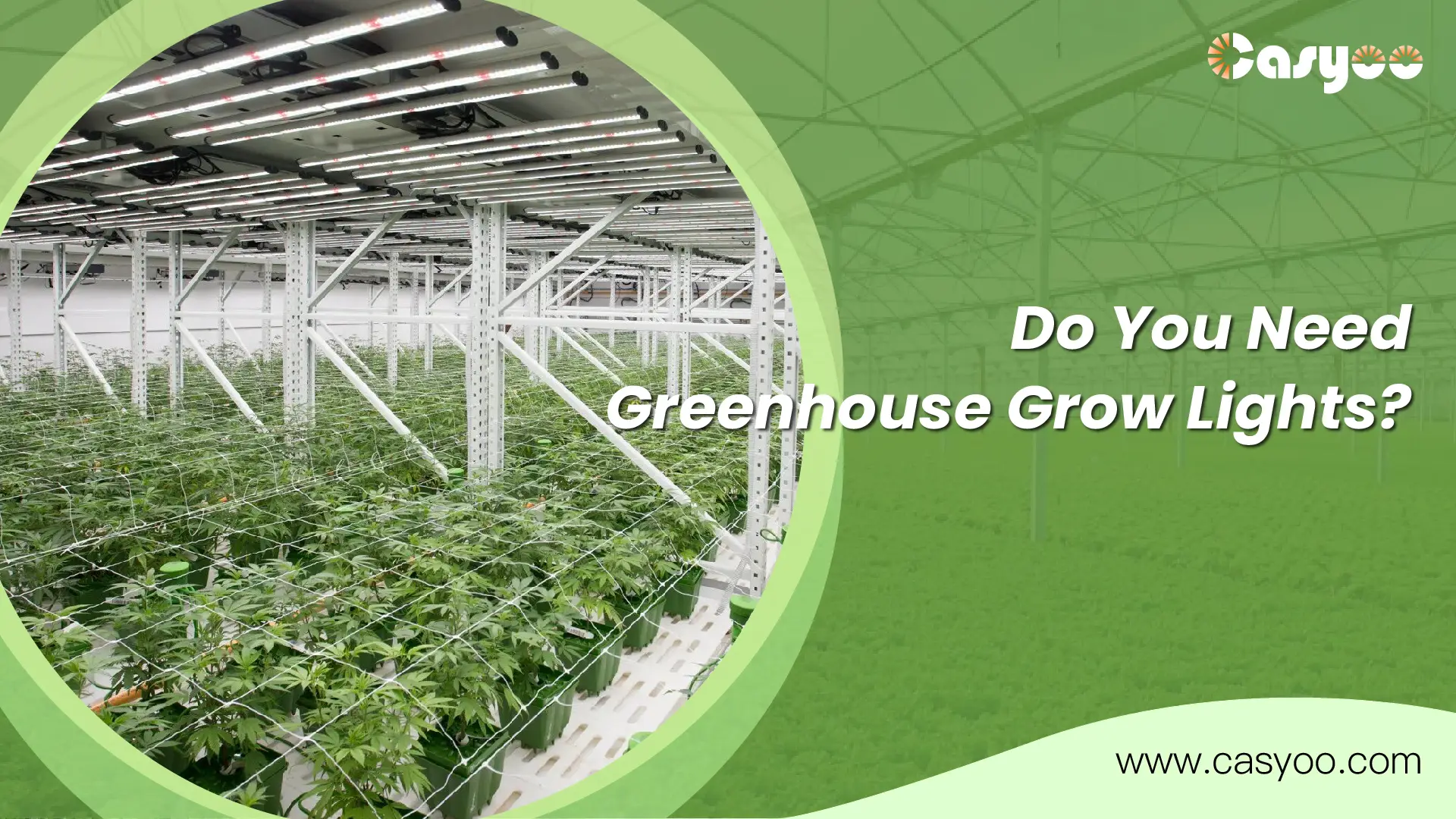 Do You Need Greenhouse Grow Lights