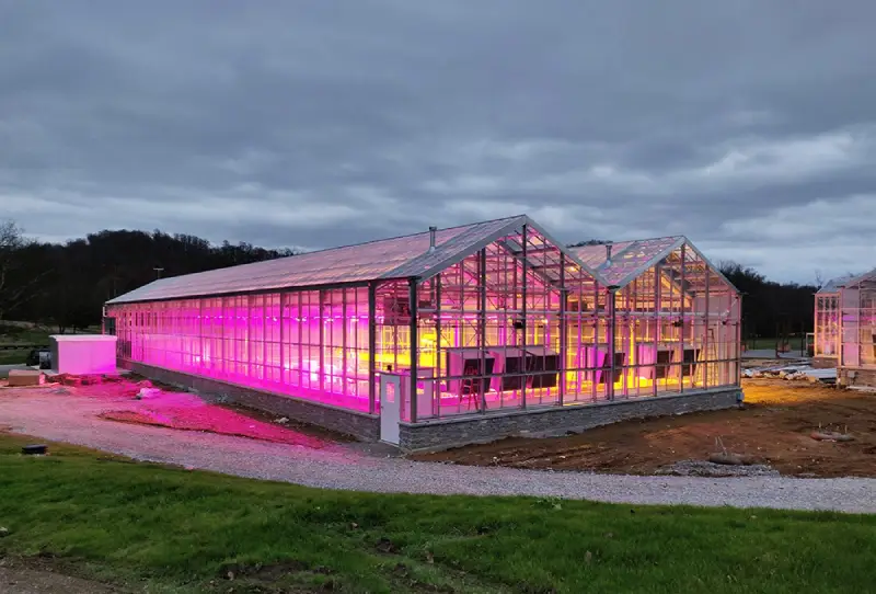 How to improve light distribution in greenhouses