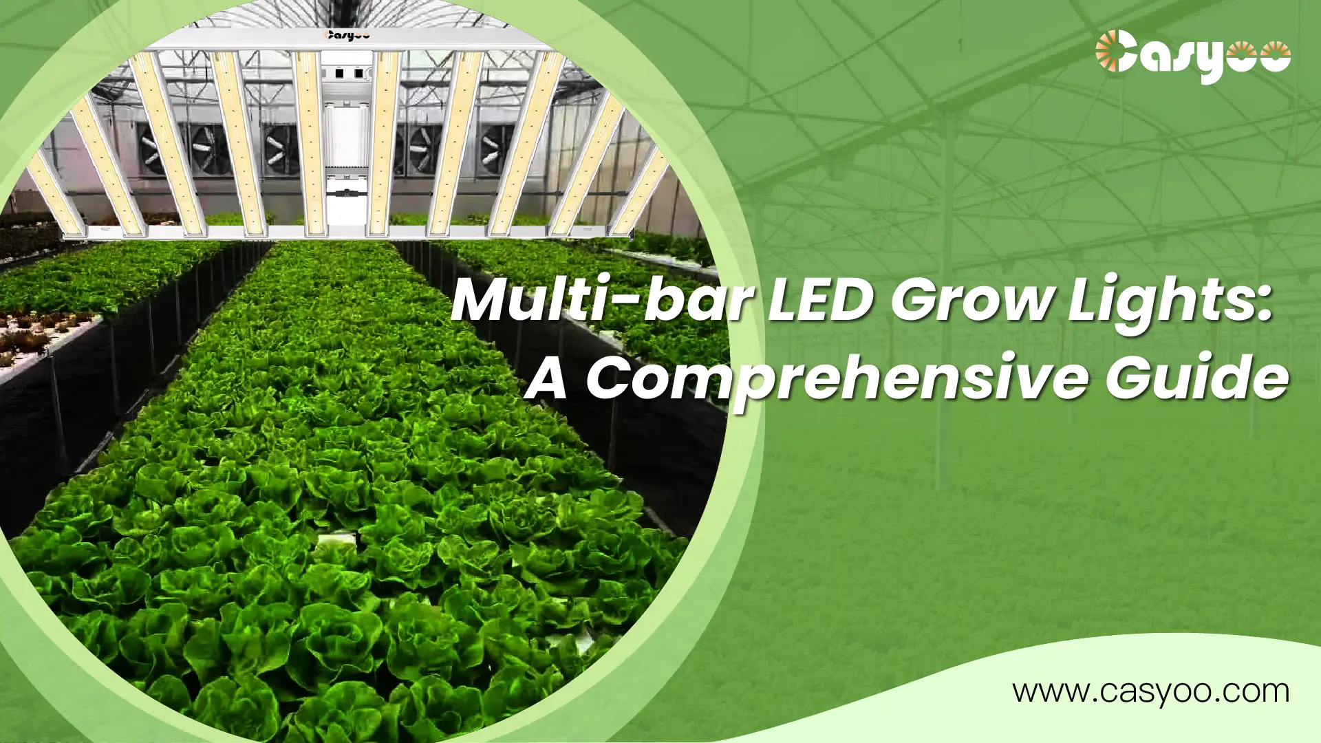 Multi-bar LED Grow Lights A Comprehensive Guide