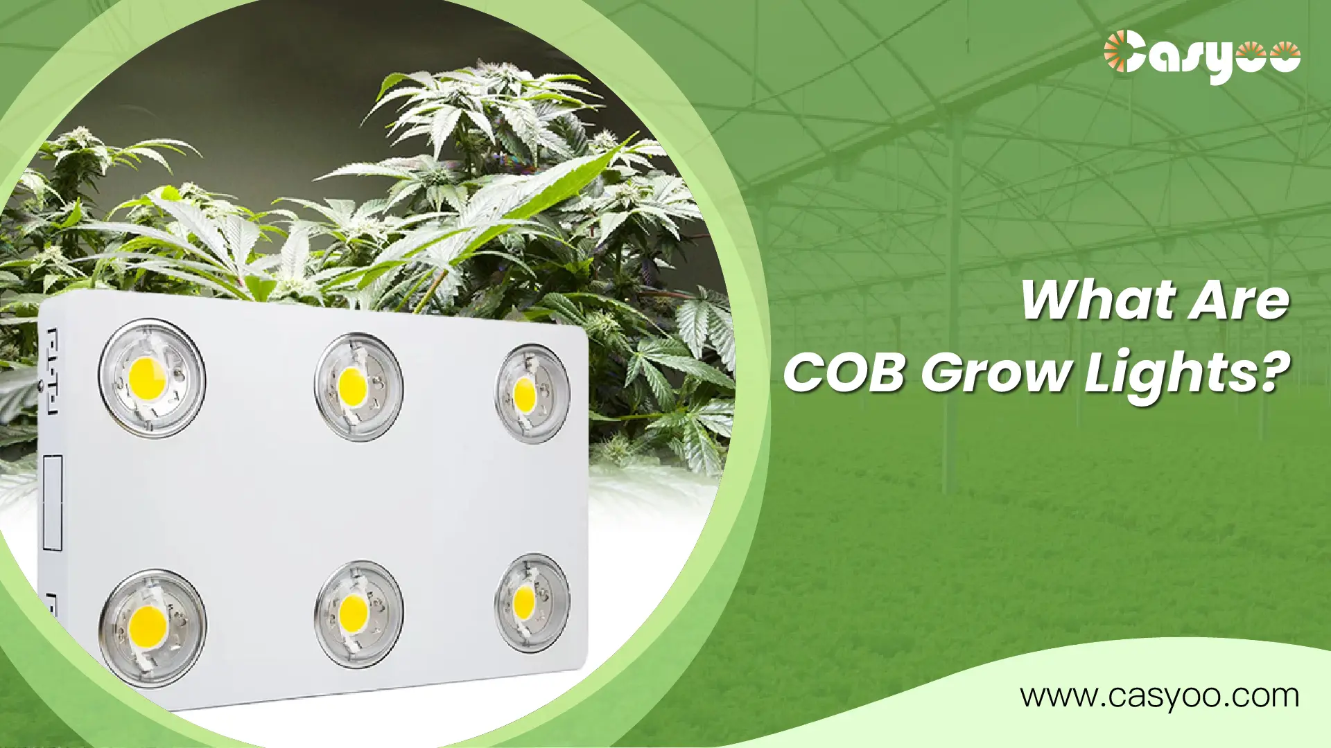 What Are COB Grow Lights