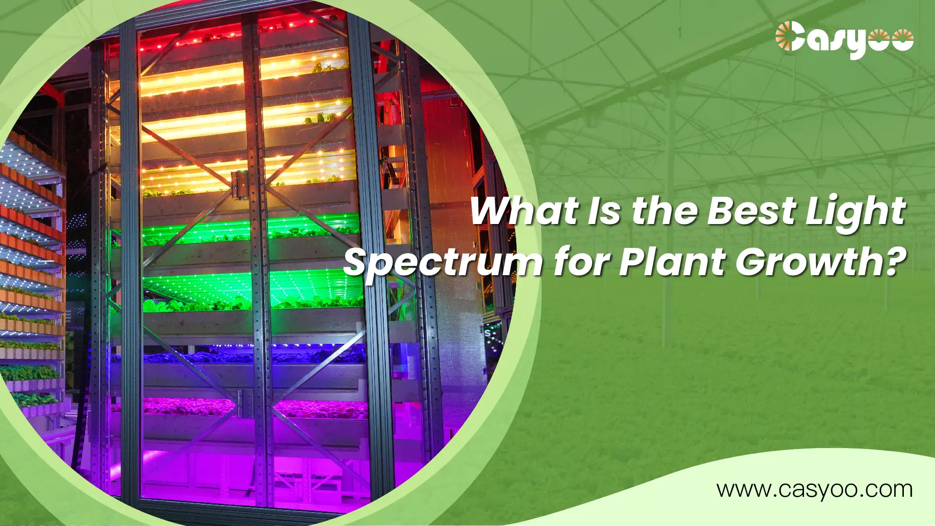 What Is the Best Light Spectrum for Plant Growth