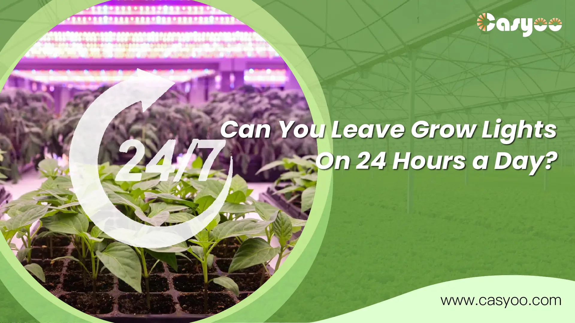 Can You Leave Grow Lights On 24 Hours a Day