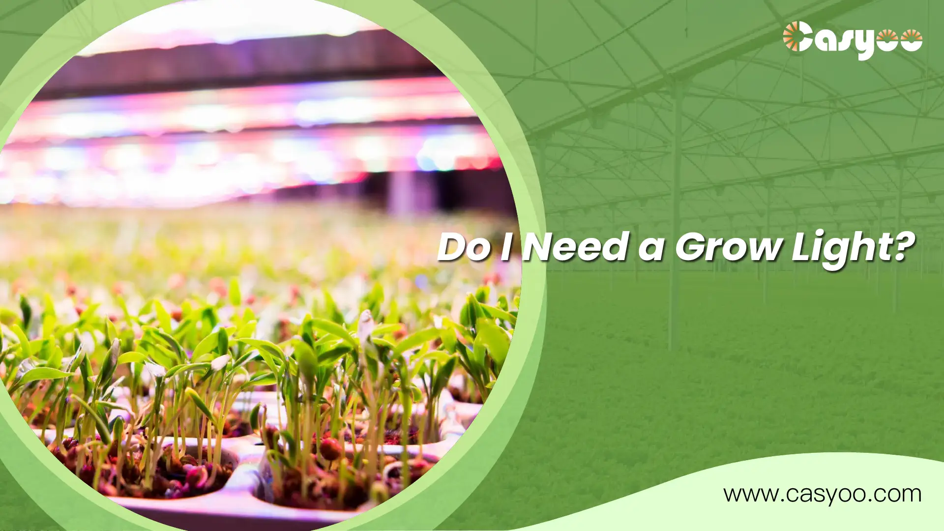 Do I Need a Grow Light