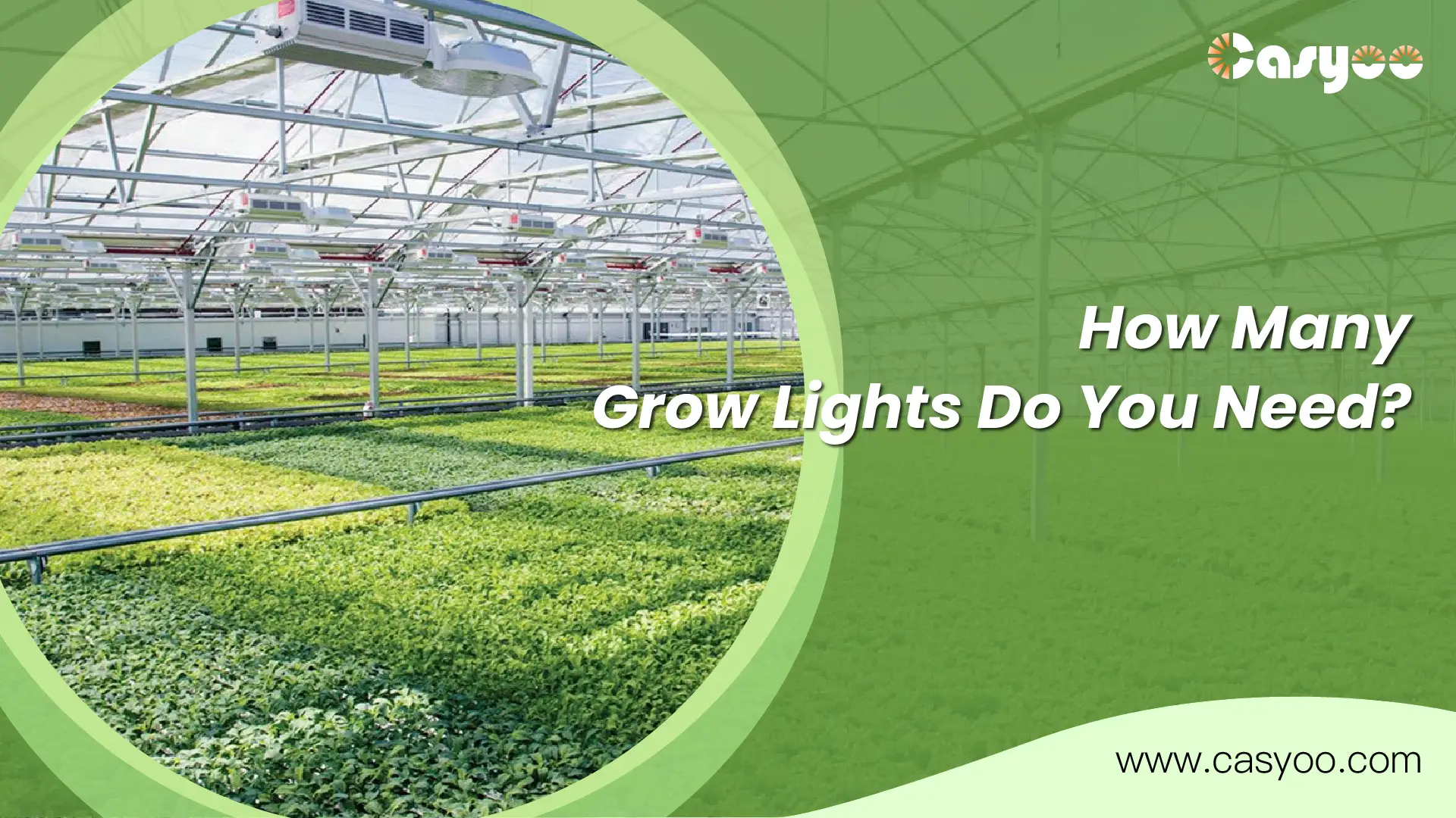 How Many Grow Lights Do You Need