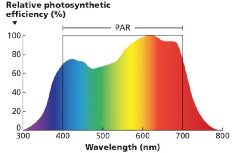 PAR Requirements of Plants