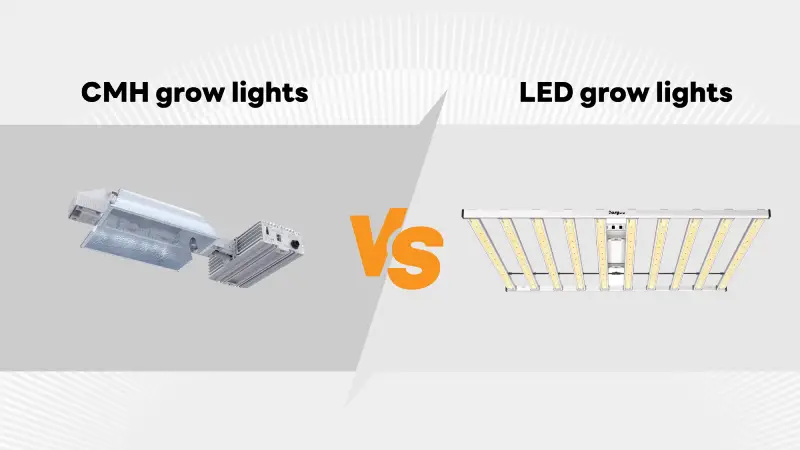 What are the differences between CMH and LED grow lights?