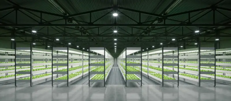 What do a hydroponic lighting system consist of