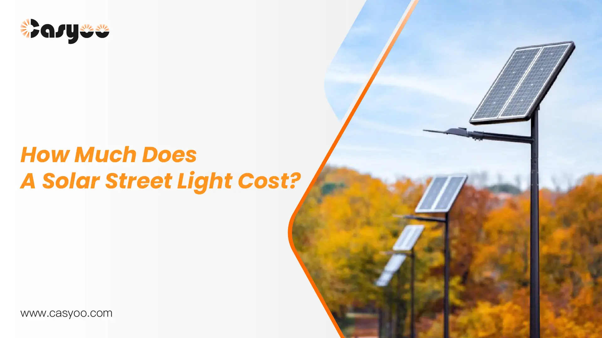 How Much Does A Solar Street Light Cost