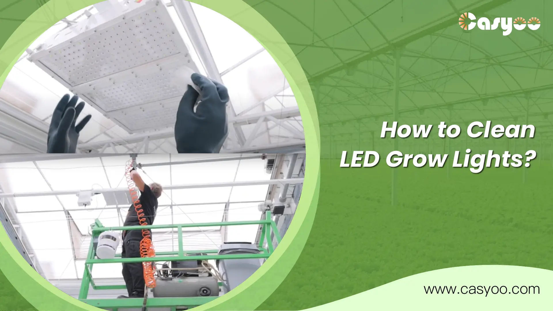 How to Clean LED Grow Lights