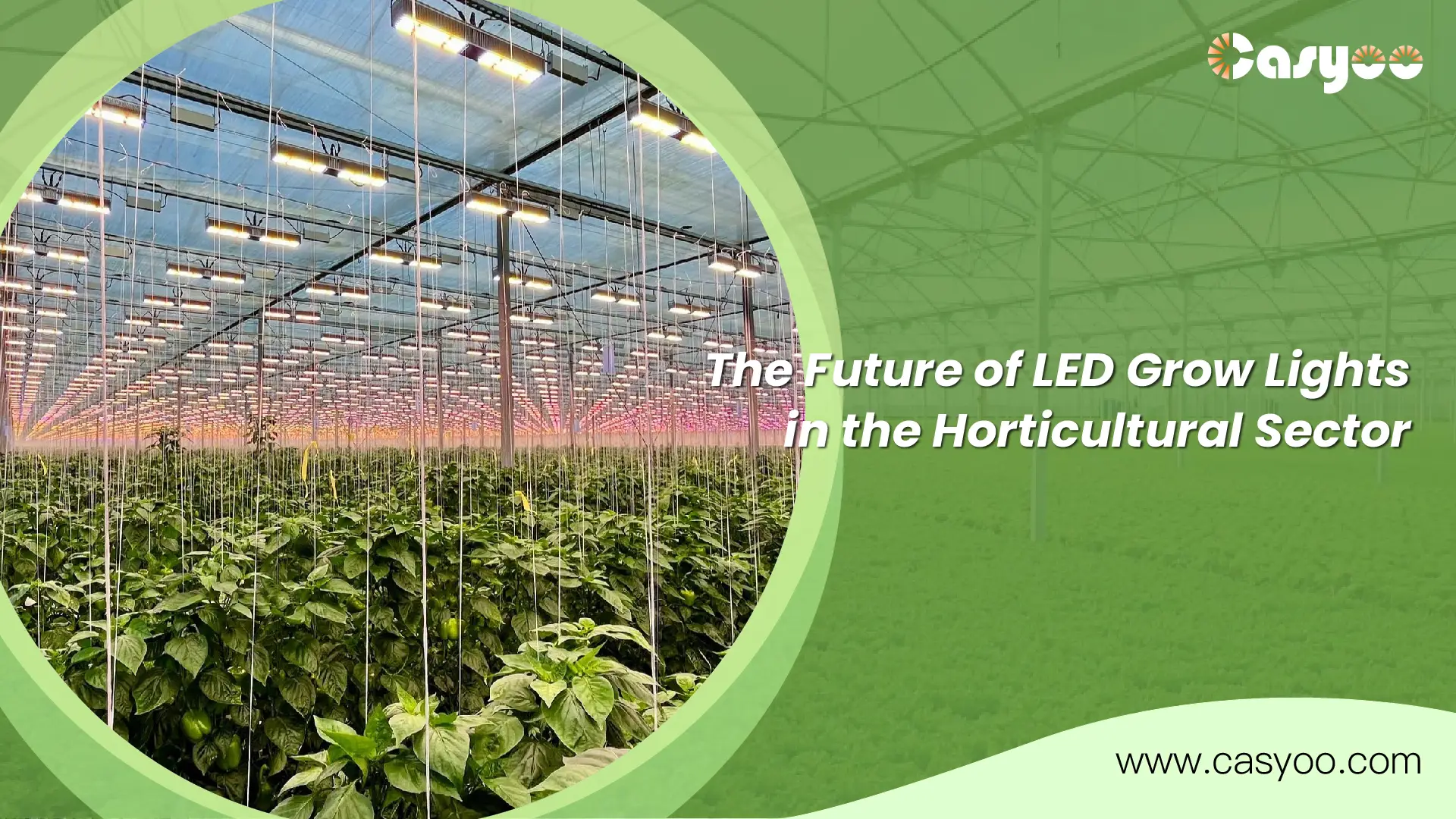 The Future of LED Grow Lights in the Horticultural Sector