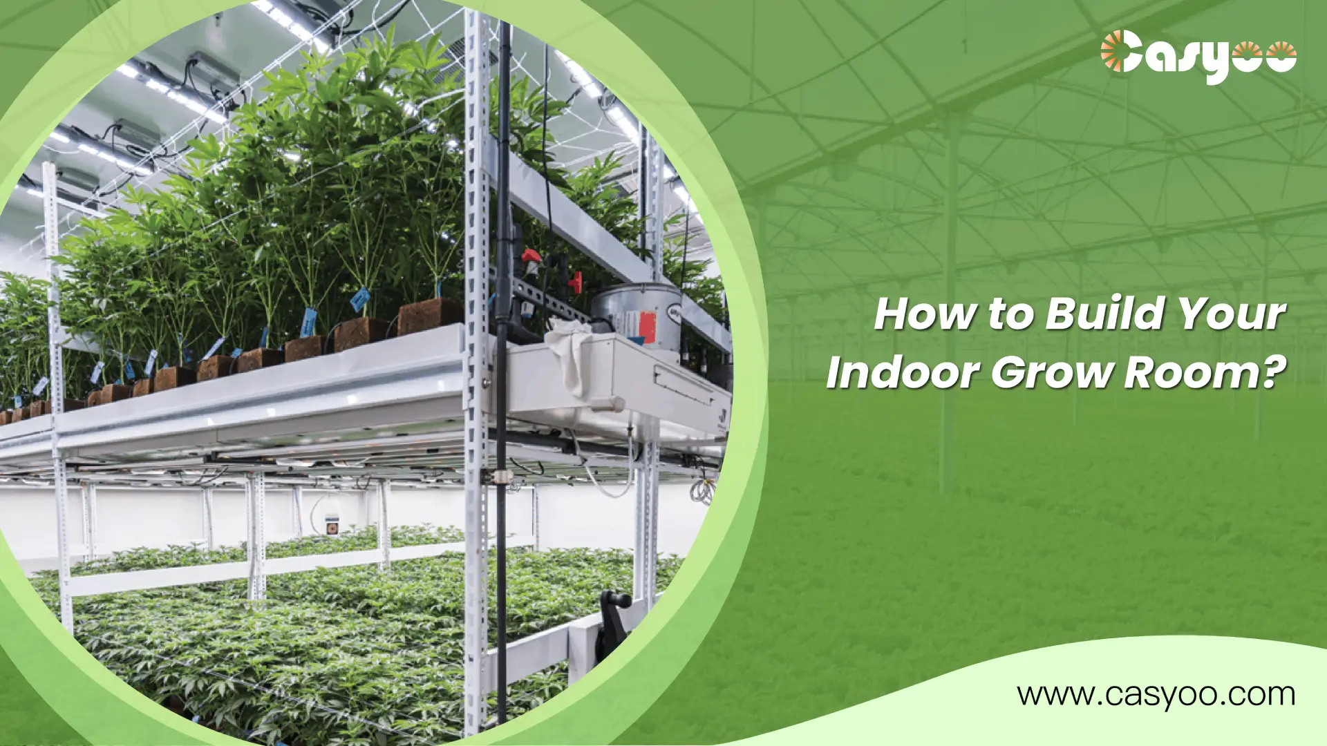 How to Build Your Indoor Grow Room