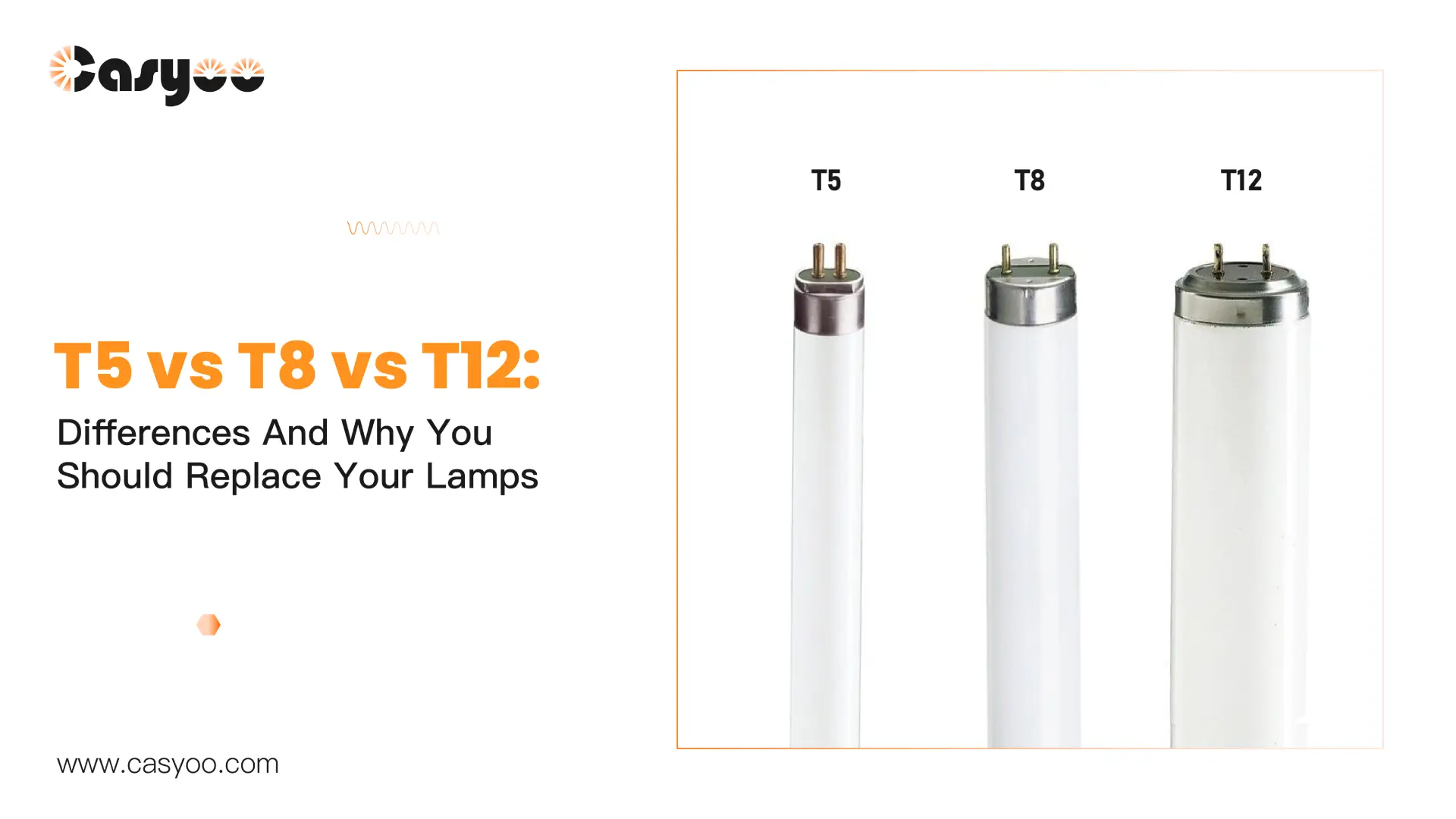 T5 vs T8 vs T12: Differences And Which Should You Choose