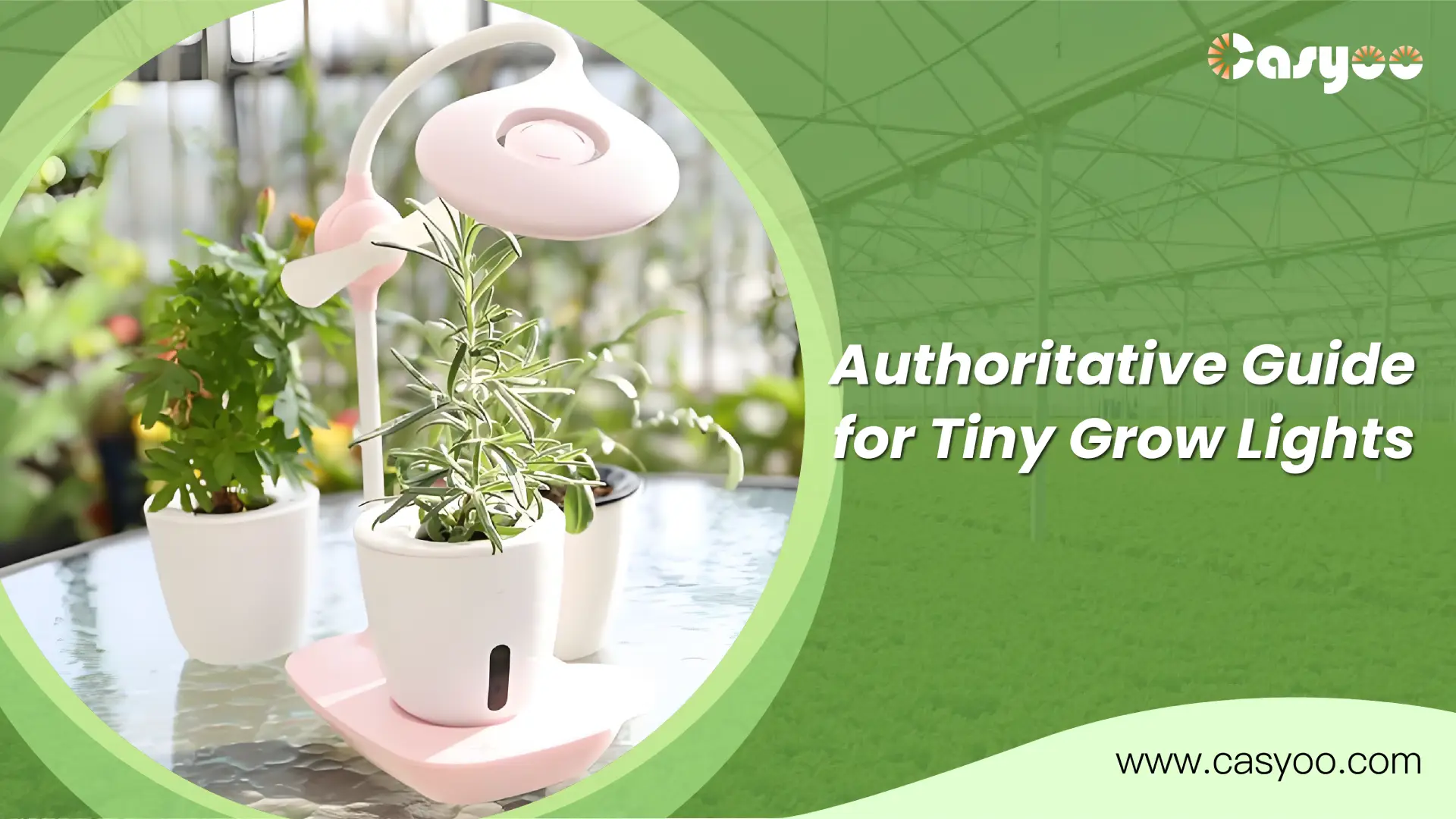 Authoritative Guide for Tiny Grow Lights