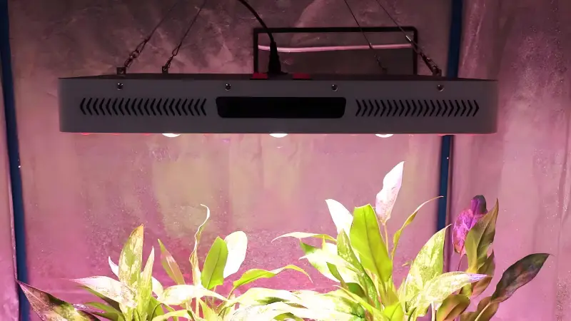 COB LED Grow Light