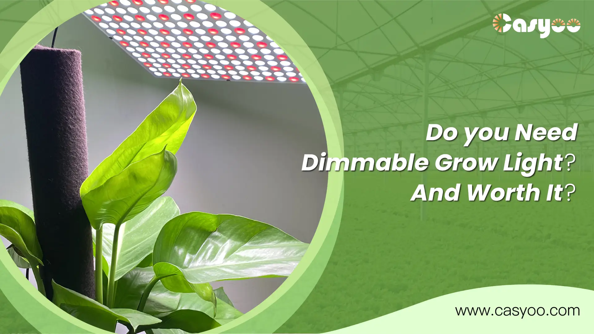 Do you Need Dimmable Grow Light And Worth It