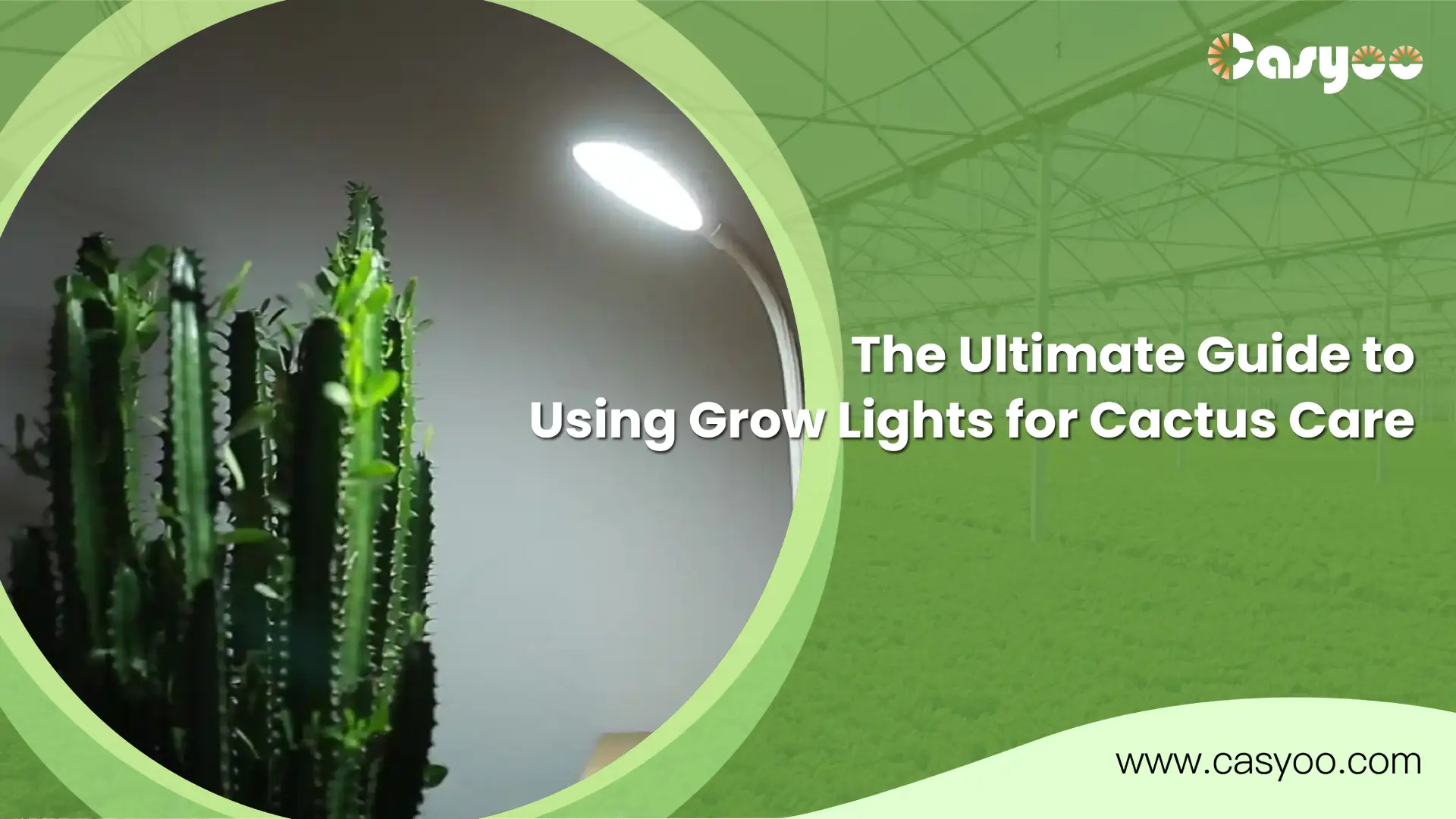 The Ultimate Guide to Using Grow Lights for Cactus Care