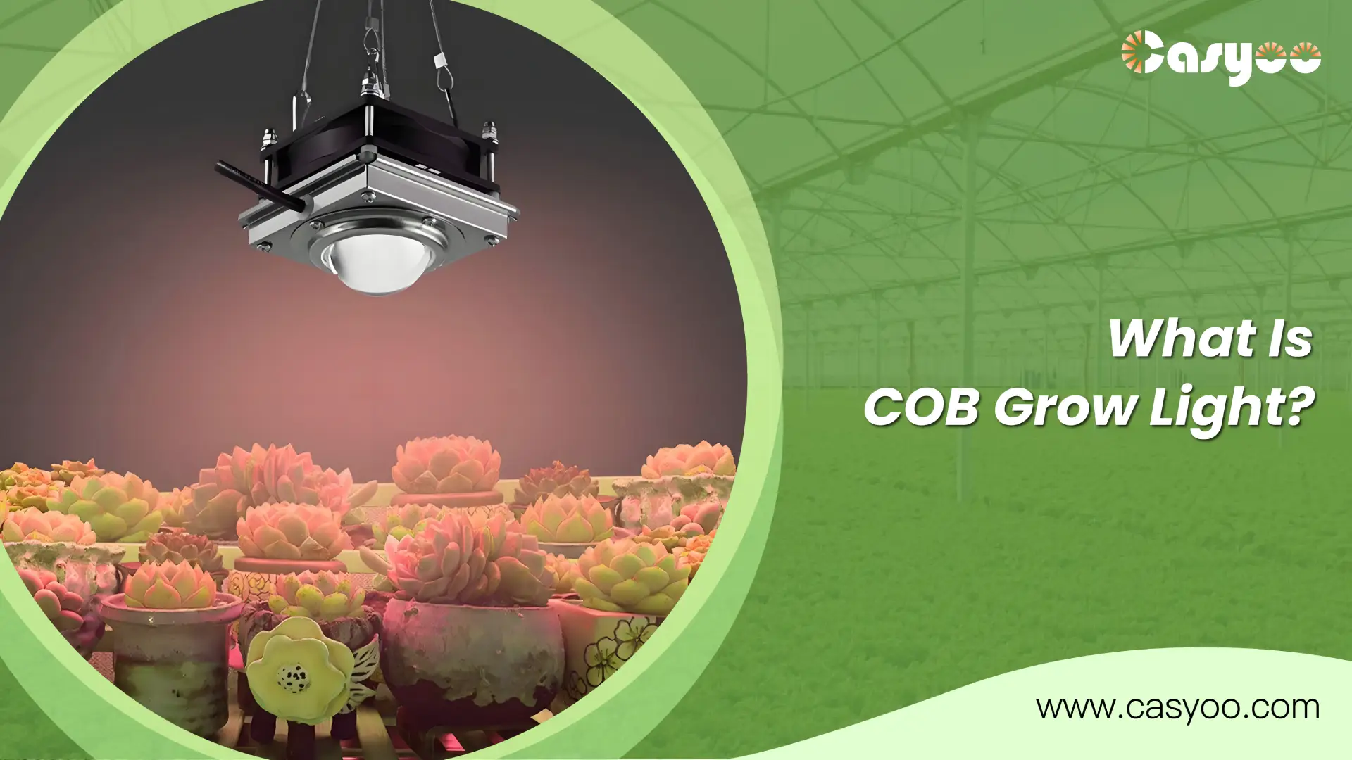 What Is COB Grow Light