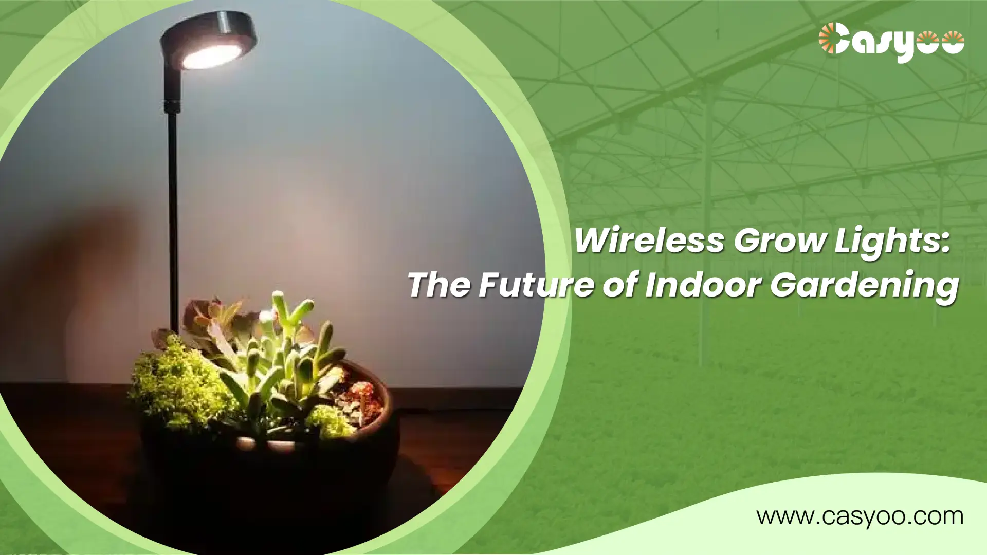 Wireless Grow Lights The Future of Indoor Gardening