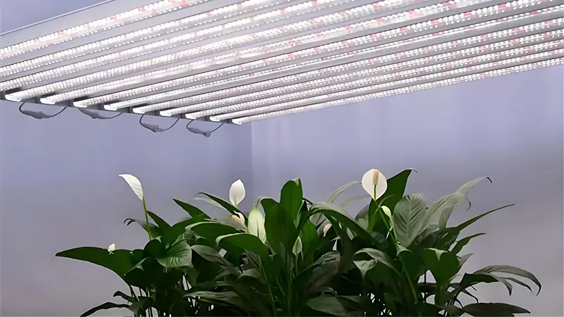 herb grow light