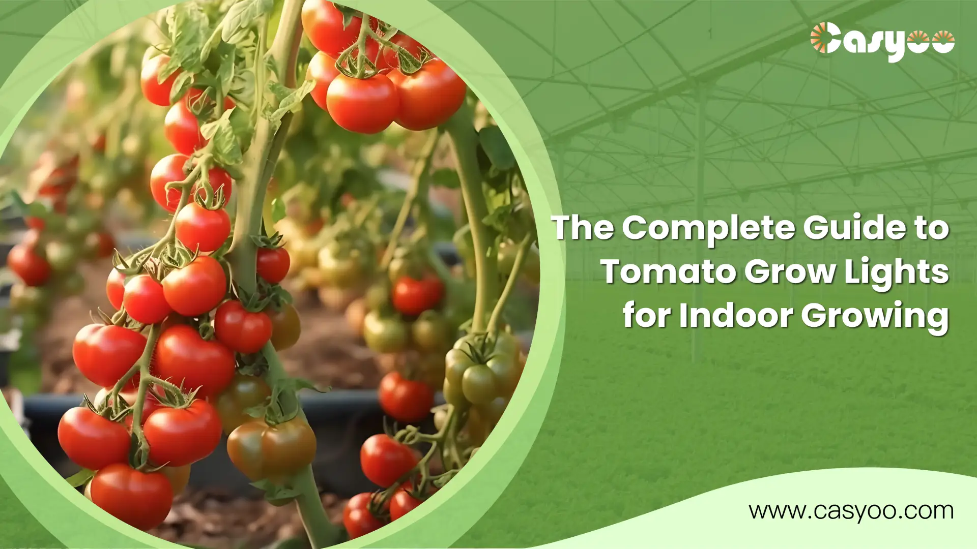 The Complete Guide to Tomato Grow Lights for Indoor Growing