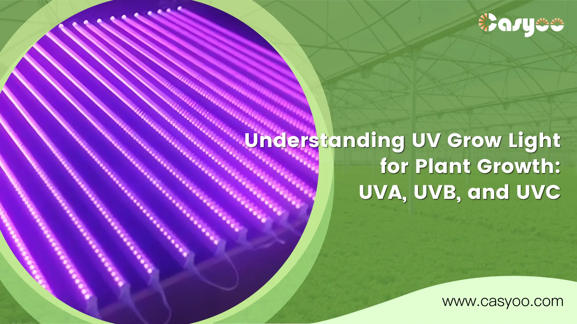 Understanding UV Grow Light for Plant Growth_ UVA, UVB, and UVC