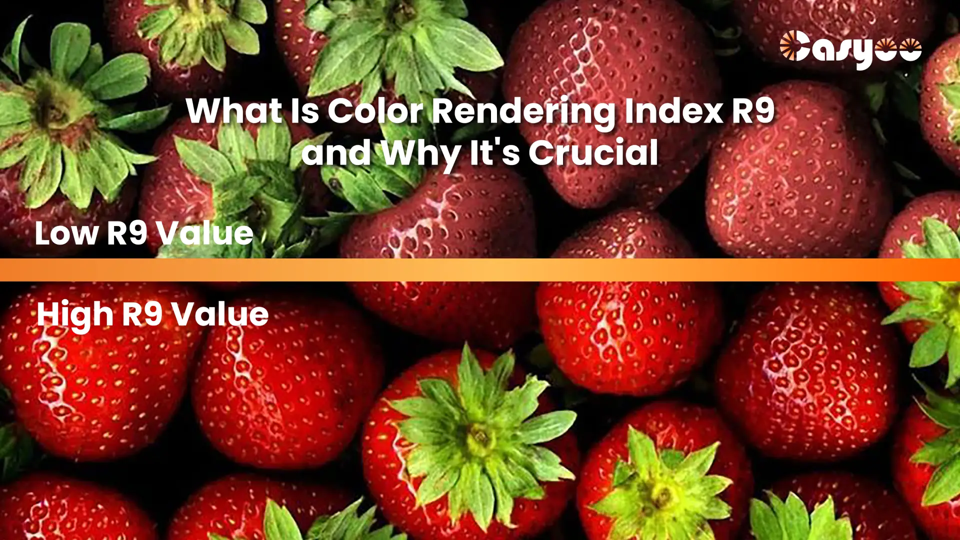 What Is Color Rendering Index R9 and Why It’s Crucial